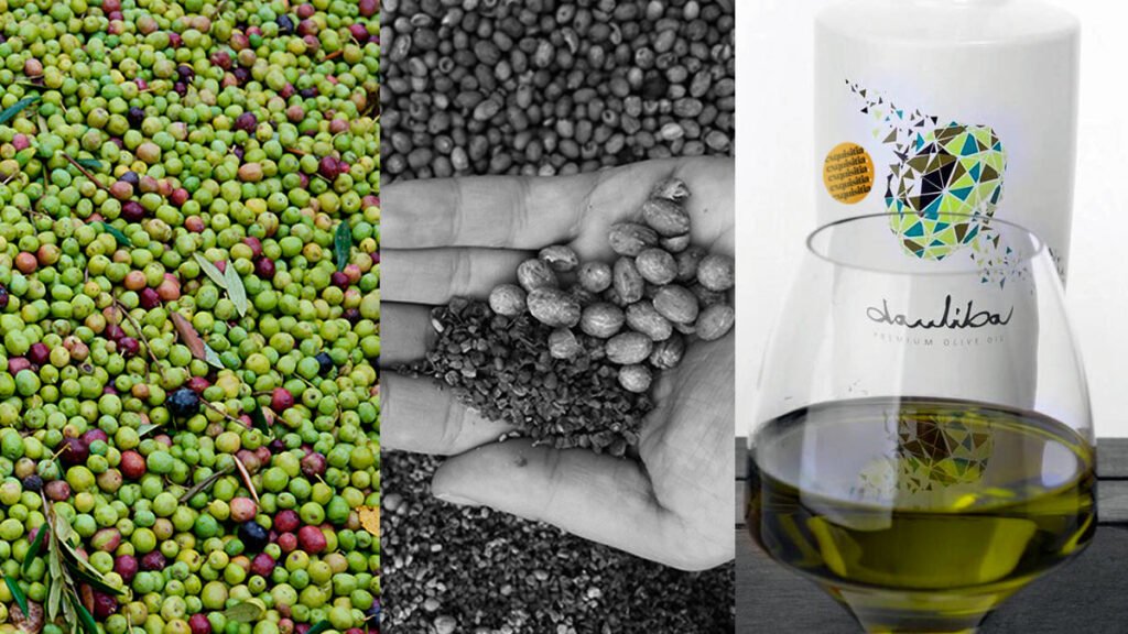 Dauliba, el primer AOVE exprimido sin hueso en el prensado. De Arbequinas ECO deshuesadas 15 Innovación, extracción del hueso de la aceituna para elaborar el AOVE Dauliba.