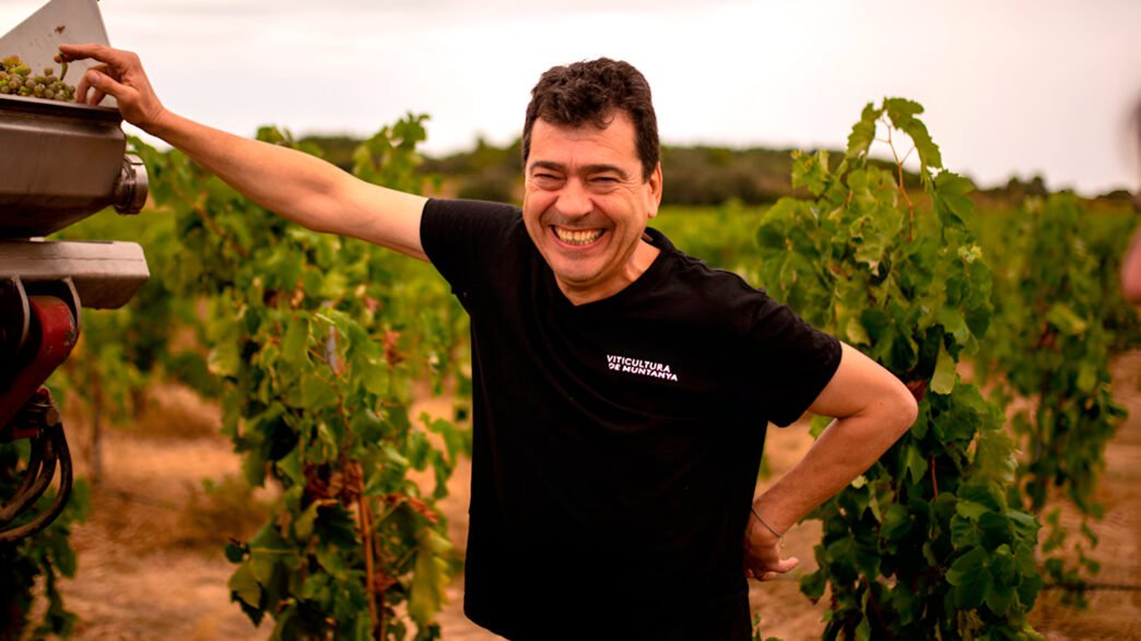 Tomàs Cusiné entra en el mundo del AOVE Premium con un virgen extra excepcional 14 Tomas Cusiné presenta su aceite virgen extra Cérvoles