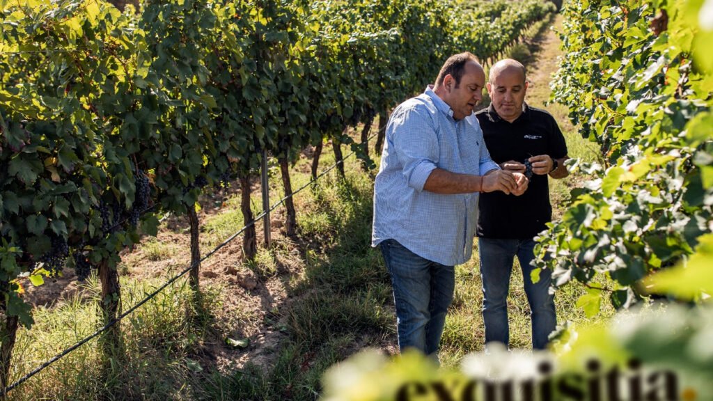 Los hermanos Juan y José María de Porcioles de Aceites Costers del Sió