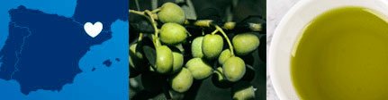 Origen Aceite Oli Umami Camins de Verdor en Belianes, Vall del Corb en Lleida.