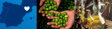 Origen Aceite de Oliva Germanor