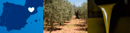 Origen Aceite Verde Pons de cosecha temprana en Exquisitia Gourmet