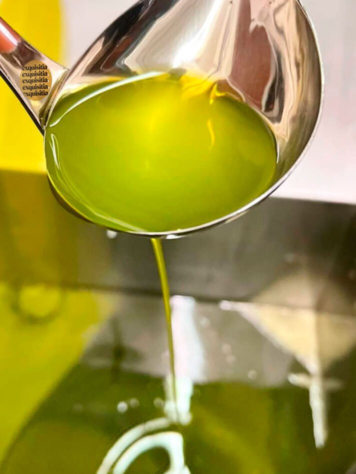Color verde característico del Aceite Pons Verde de inicio de cosecha