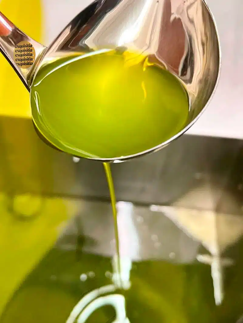 Color verde característico del Aceite Pons Verde de inicio de cosecha