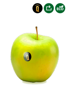 Manzana Golden Ecológica de Lleida - Seleqtium by Exquisitia - 1Kg 20 manzana golden ecologica lleida