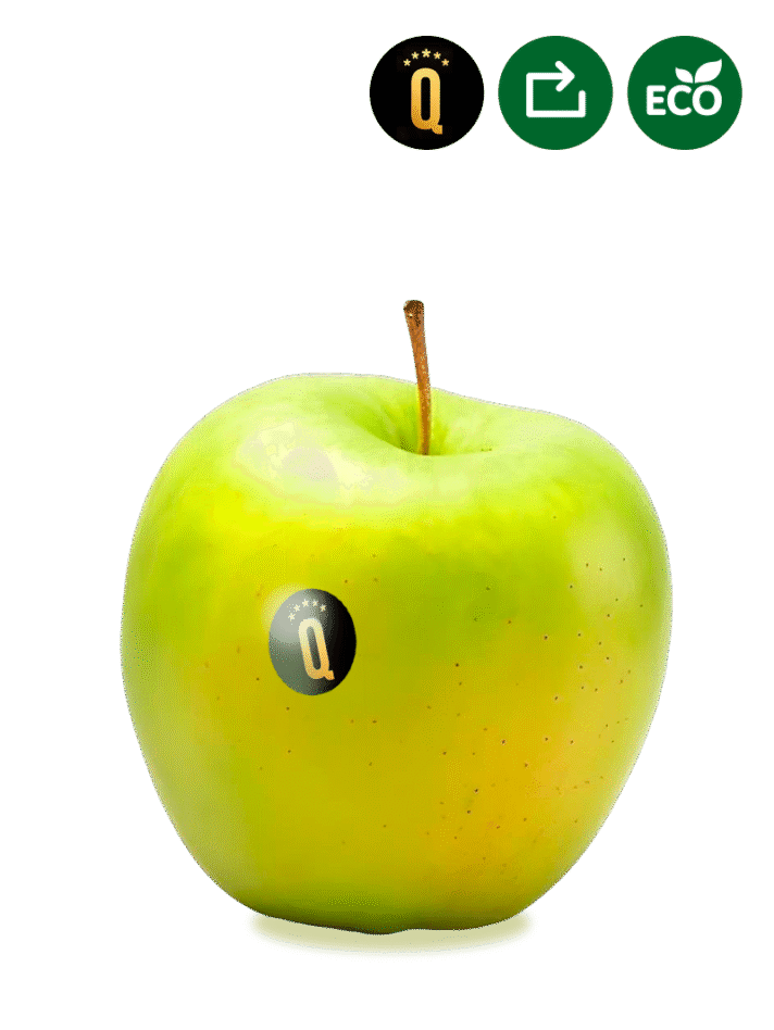Manzana Golden Ecológica de Lleida, Seleqtium by Exquisitia