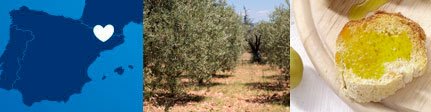 Origen Aceite Jan i Roc de Pons