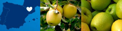 Origen Manzana de Lleida Golden Ecológica