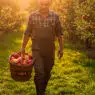 Agricultor en Lleida recogiendo fruta ecológica de Lleida para Seleqtium by Exquisitia