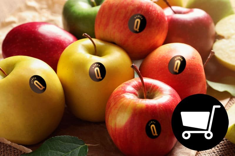 Fruta ecológica de Lleida con certificación orgánica, fruta fresca de temporada y proximidad para comprar en Exquisitia
