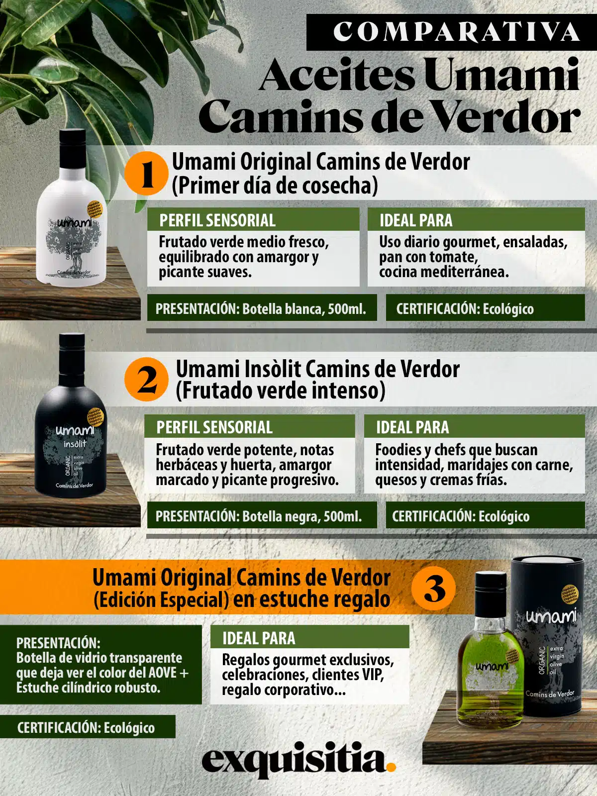 Aceite Umami Camins de Verdor. Primer día de cosecha. Verde y ECO - 500ml. 16 Infografía comparativa Aceite Umami Camins de Verdor - Original, Insòlit y Estuche Regalo. Aceites de Lleida gourmet premium en Exquisitia