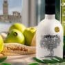 Bodegón gourmet de Exquisitia con lo mejor de Lleida fruta ecológica y botellas de aceite de oliva virgen extra gourmet Umami y Seleqtium, con la Seu Vella al fondo.