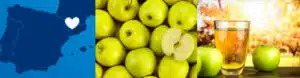 Origen zumo de manzana Cal Valls ecológico